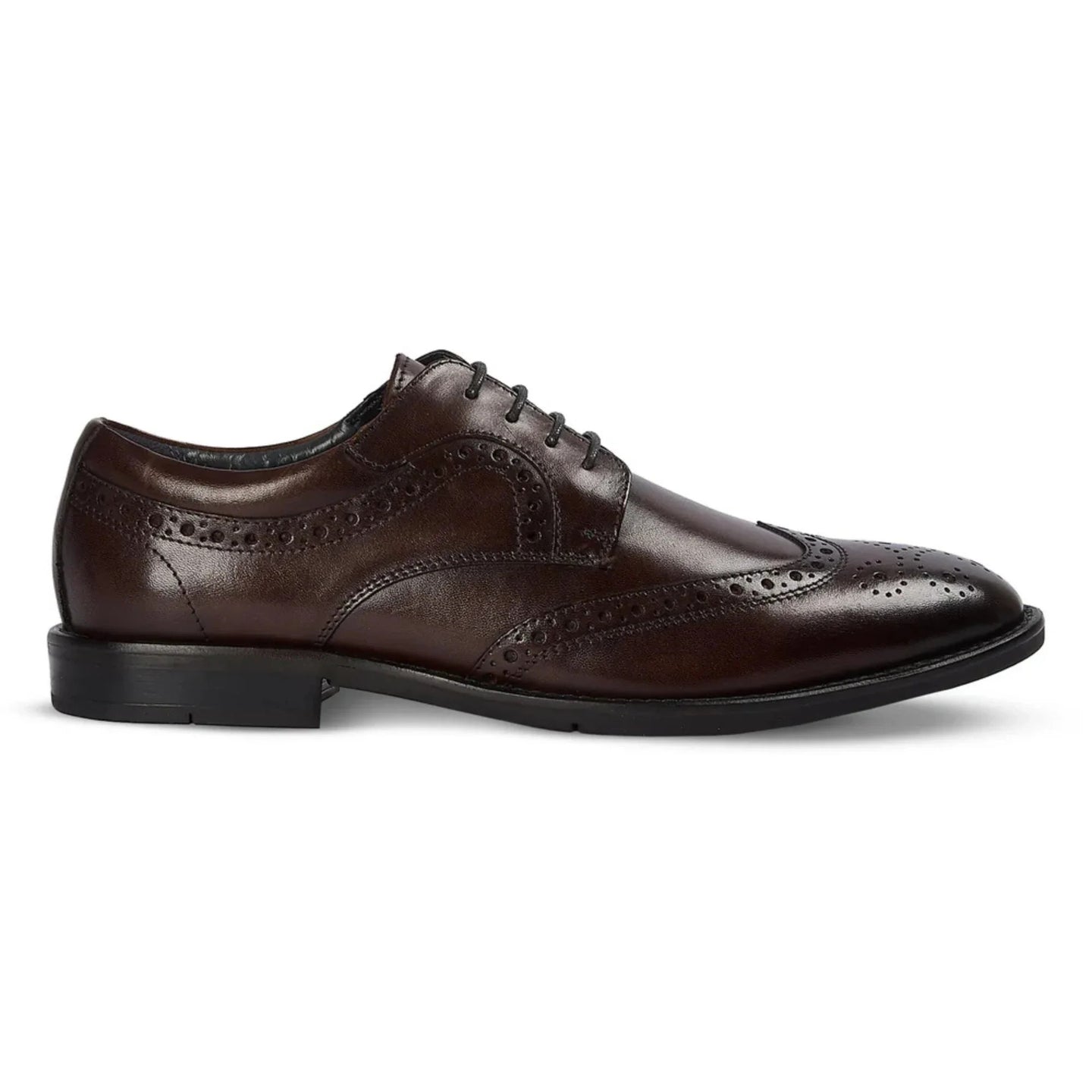 Cambridge - Herre Mørkebrune Wingtip Brogue Derbysko