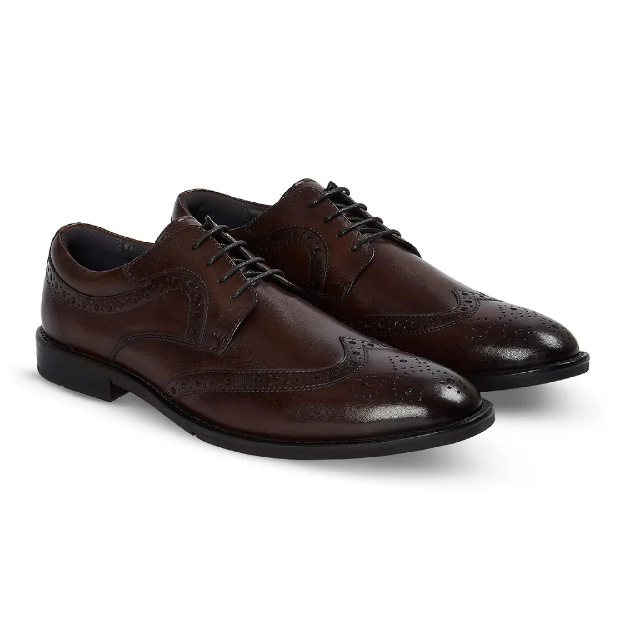 Cambridge - Herre Mørkebrune Wingtip Brogue Derbysko