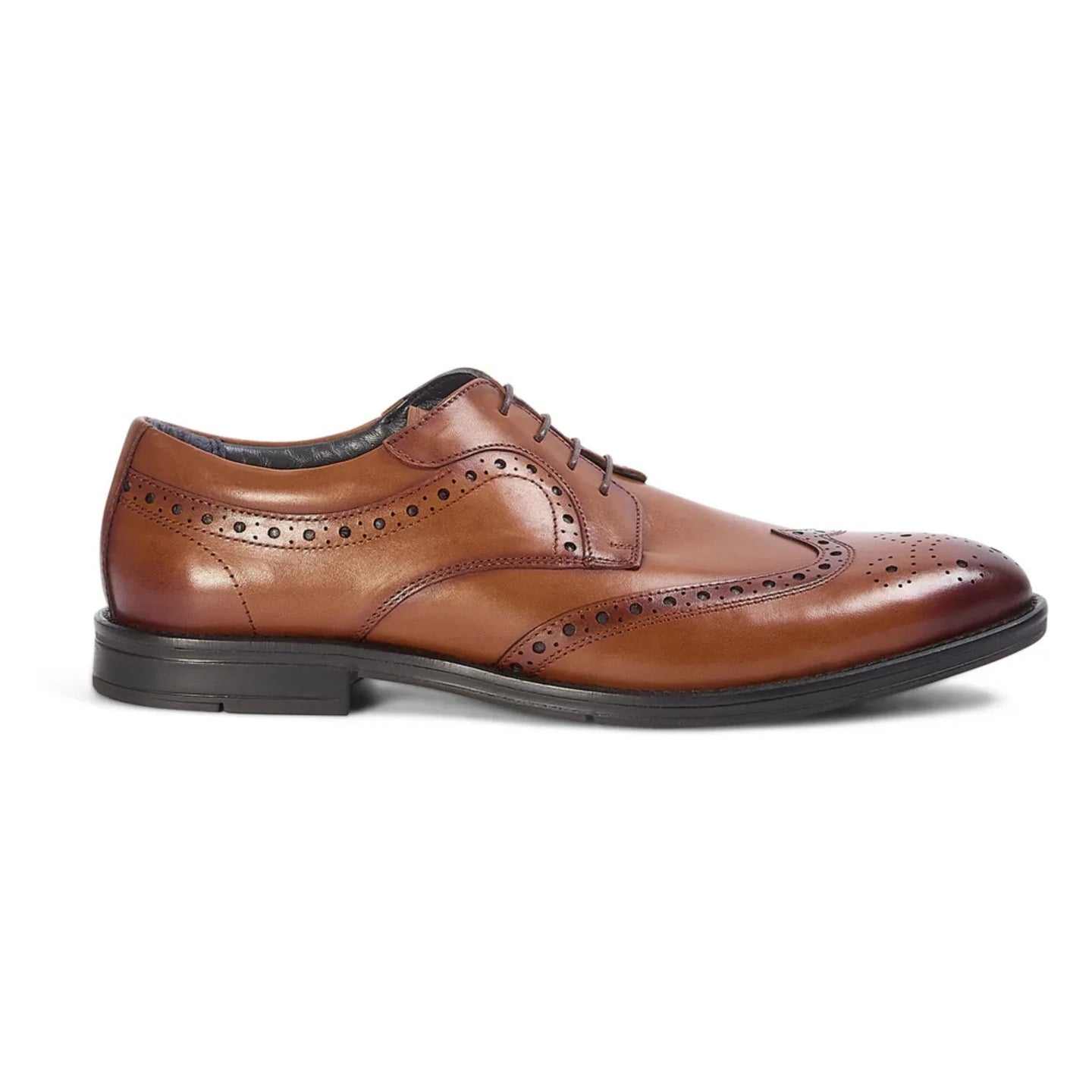 Cambridge - Herrebrune Wingtip Brogue Derbysko