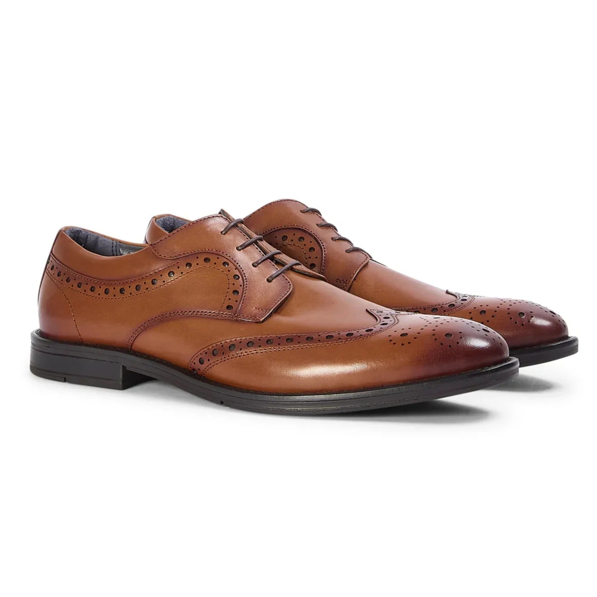 Cambridge - Herrebrune Wingtip Brogue Derbysko
